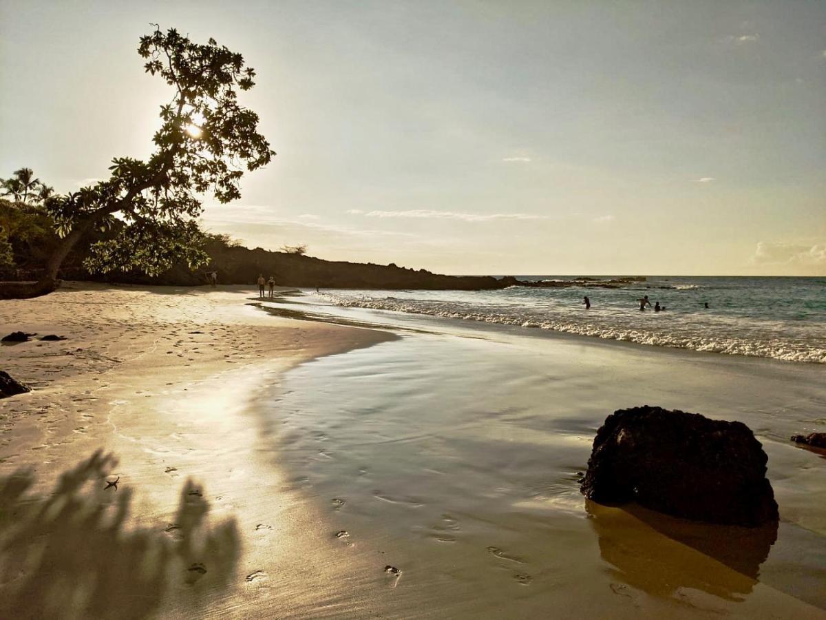 Unwind On Your Fantasy Hawaiian Vacation- 1Bd/1Ba Condo In Kailua-Kona, Hawaii Exterior foto